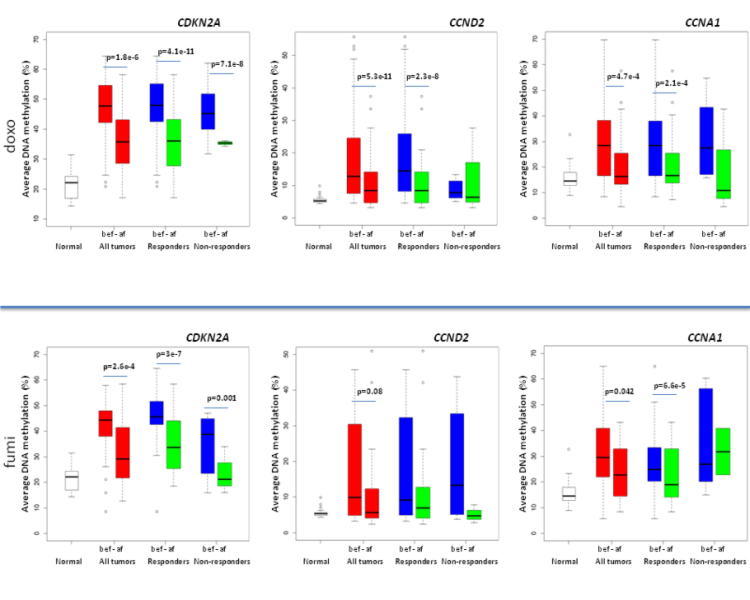 Figure 2. Average percentage of DNA methylation levels for CDKN2A, CCND2 and CCNA1 gene in doxorubicin and 5-fluorouracil Mitomycin C treated breast cancers. For each gene difference in methylation between all samples before/after, between responders before/after and between non-responders before/after and normal samples are shown.